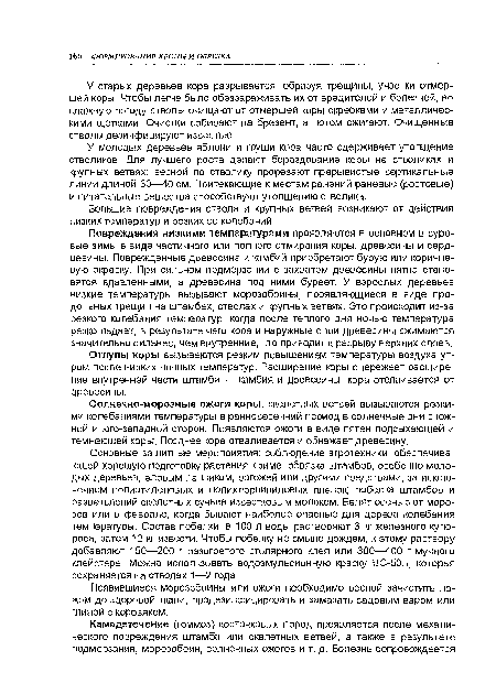 Большие повреждения ствола и крупных ветвей возникают от действия низких температур и резких ее колебаний.