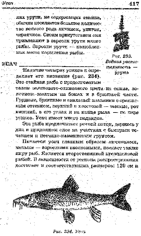 Наличие-четырех- усиков и определяет "его название -(рис. 2-34).