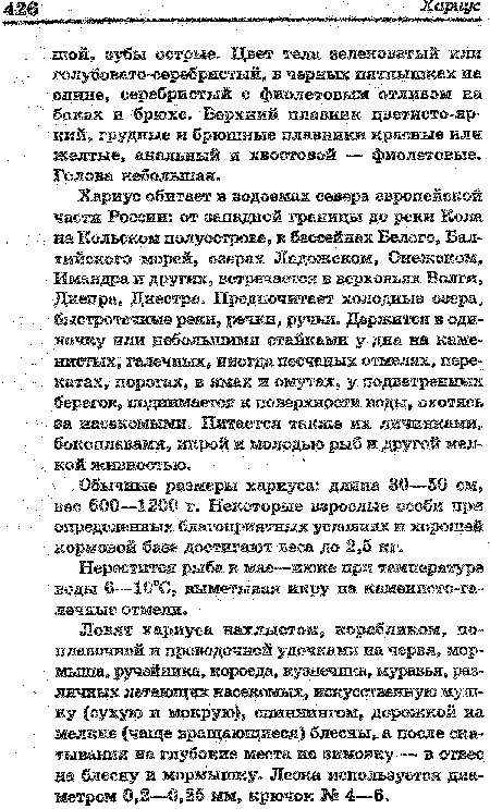 Нерестится рыба в мае—июне при температуре воды 6—10°С, выметывая икру на каменисто-га-лечные отмели.