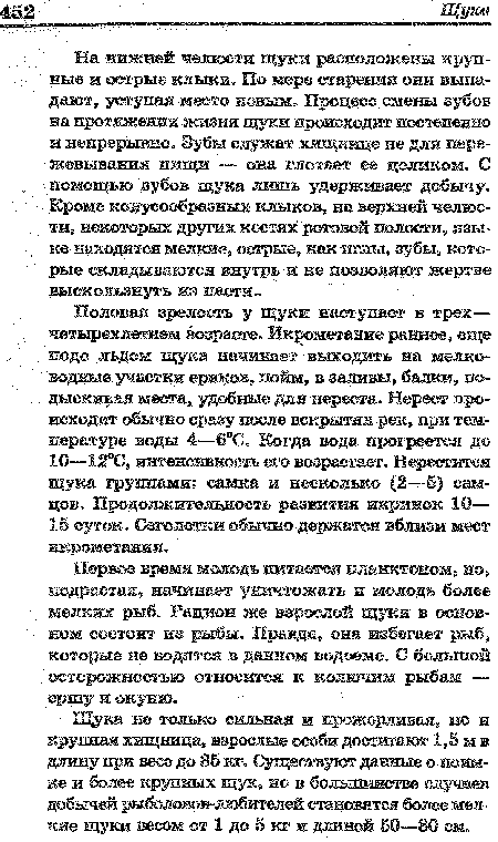 Щука не только сильная и прожорливая, но и крупная хищница, взрослые особи достигают 1,5 м в длину при весе до 35 кг. Существуют данные о поимке и более крупных щук, но в большинстве случаев добычей рыболовов-любителей становятся более мелкие щуки весом от 1 до 5 кг и длиной 50—80 см.