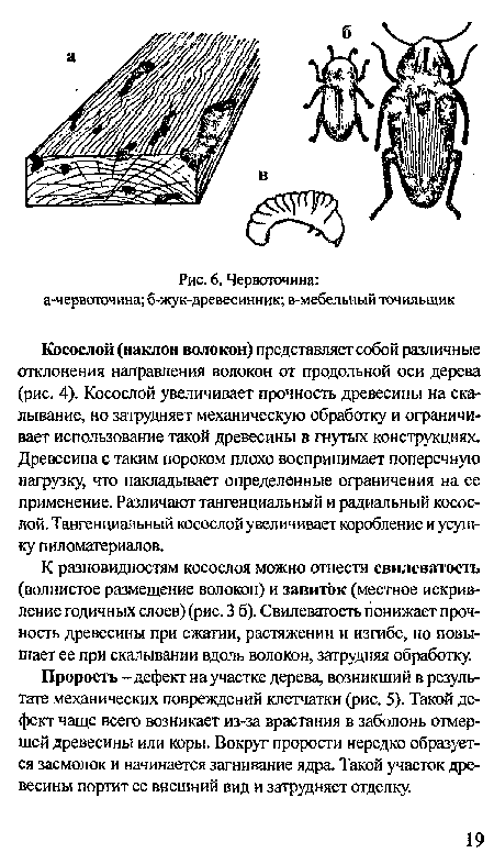 Прорость - дефект на участке дерева, возникший в результате механических повреждений клетчатки (рис. 5). Такой дефект чаще всего возникает из-за врастания в заболонь отмершей древесины или коры. Вокруг прорости нередко образуется засмолок и начинается загнивание ядра. Такой участок древесины портит ее внешний вид и затрудняет отделку.