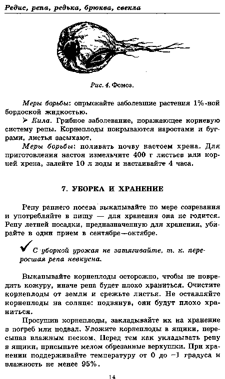 Меры борьбы: опрыскайте заболевшие растения 1%-ной бордоской жидкостью.