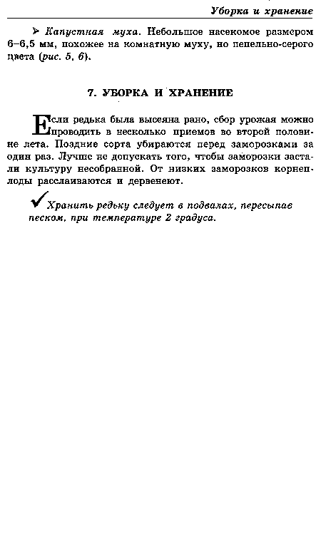 Если редька была высеяна рано, сбор урожая можно проводить в несколько приемов во второй половине лета. Поздние сорта убираются перед заморозками за один раз. Лучше не допускать того, чтобы заморозки застали культуру несобранной. От низких заморозков корнеплоды расслаиваются и дервенеют.