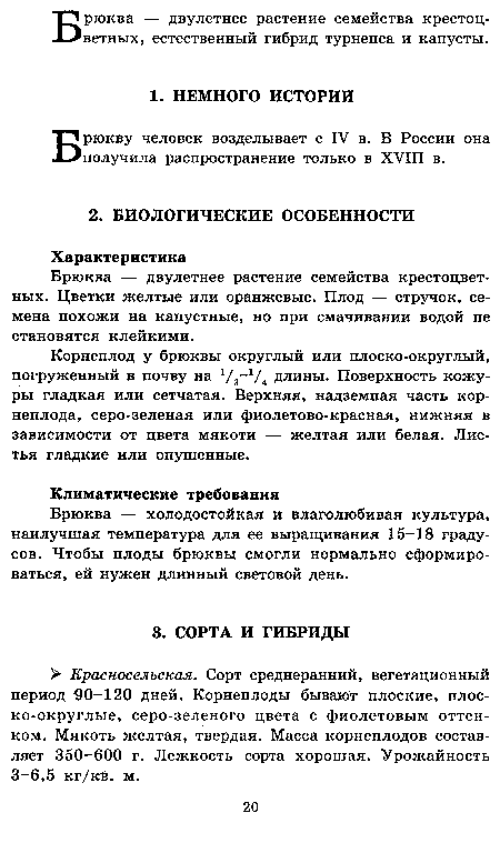 Брюкву человек возделывает с IV в. В России она получила распространение только в XVIII в.