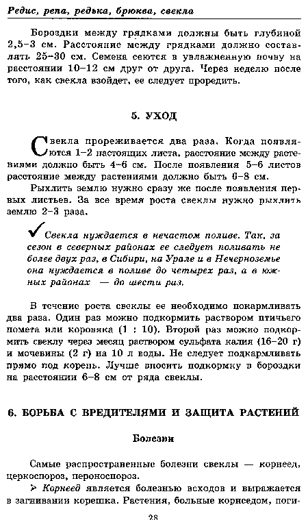 Свекла прореживается два раза. Когда появляются 1-2 настоящих листа, расстояние между растениями должно быть 4-6 см. После появления 5-6 листов расстояние между растениями должно быть 6-8 см.