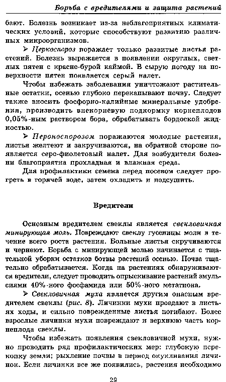 Основным вредителем свеклы является свекловичная минирующая моль. Повреждают свеклу гусеницы моли в течение всего роста растения. Больные листья скручиваются и чернеют. Борьба с минирующей молью начинается с тщательной уборки остатков ботвы растений осенью. Почва тщательно обрабатывается. Когда на растениях обнаруживаются вредители, следует проводить опрыскивание растений эмульсиями 40%-ного фосфамида или 50%-ного метатиона.