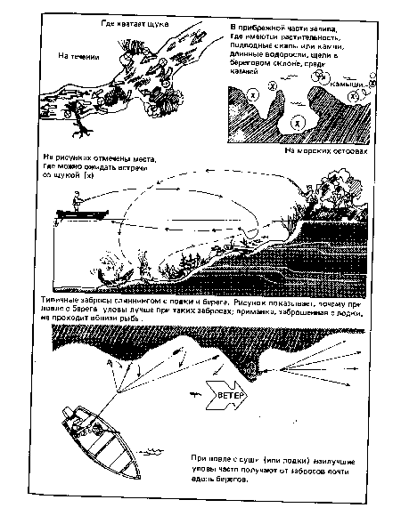 При ловле с суши или лодки) наилучшие уловы часто получают от забросов почти вдоль берегов.