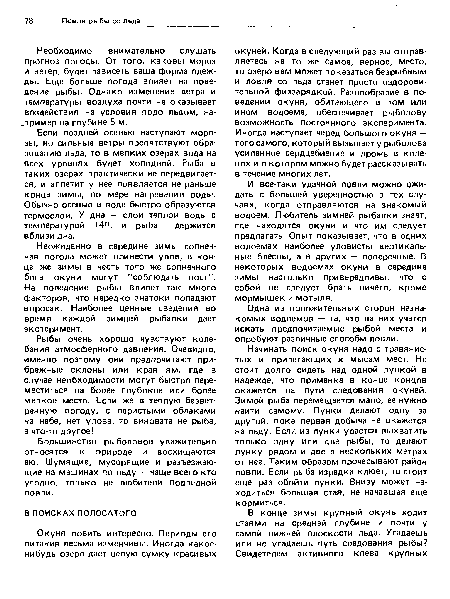 И все-таки удачной ловли можно ожидать с большей уверенностью в тех случаях, когда отправляются на знакомый водоем. Любитель зимней рыбалки знает, где находятся окуни и что им следует предлагать. Опыт показывает, что в одних водоемах наиболее уловисты вертикальные блесны, а в других — поперечные. В некоторых водоемах окуни в середине зимы настолько привередливы, что с собой не следует брать ничего, кроме мормышек и мотыля.