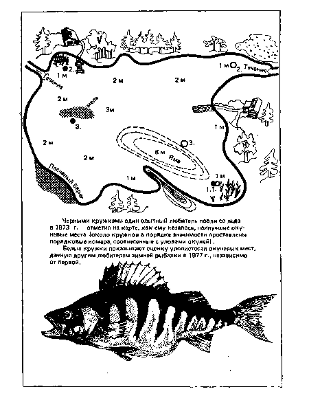 Белые кружки показывают оценку уловистости окуневых мест, данную другим любителем зимней рыбалки в 1977 г., независимо от первой.