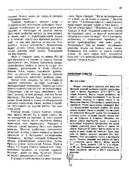 Когда стая найдена, то часто первым хватает приманку щуплый, шустрый и большеглазый полосатик. Только одно это может вызвать зависть стаи в полной мере. Следующих уже не надо заманивать: они идут охотно, и чем дальше, тем все более крупные. Последние будут опять маленькими. Если затем в лунке не обнаружится никаких признаков клева, можно спокойно переходить на другое место, так как стая ушла.