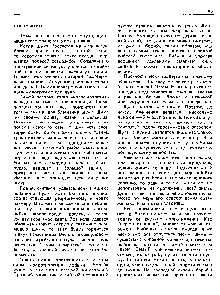 Когда щука бросается на маленькую блесну, привязанную к тонкой леске, то короткая схватка почти всегда завершается победой острозубой. Сожаление о проигранной битве усугубляется потерянной блесной, возможно самой удачливой. Бывают исключения, которые подтверждают правило. Искусный рыболов может иногда на 0,16-миллиметровую леску вытащить килограммовую щуку.