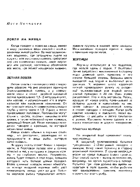 Жерлицу используют в тех водоемах, где нельзя удить с лодки. У береговой линии закрепляют наклоненный в сторону воды длинный шест, привалив к его комлю большой камень. Вершина шеста находится над водой и выполняет роль удилища. К вершине шеста короткой леской привязывают дужку из окоренной можжевеловой или еловой ветки длиной примерно в 20 см. Один конец расщепляют. Это и есть мотовило. Леску, идущую от конца шеста, привязывают за середину дужки и наматывают на нее, затем заводят в расщепленный конец и ставят поводок с живцом. Когда рыба схватит наживку и поплывет, леска выдернется из расщепа и легко смотается с дужки. Мотовило можно сделать и из куска плексигласа и других материалов.