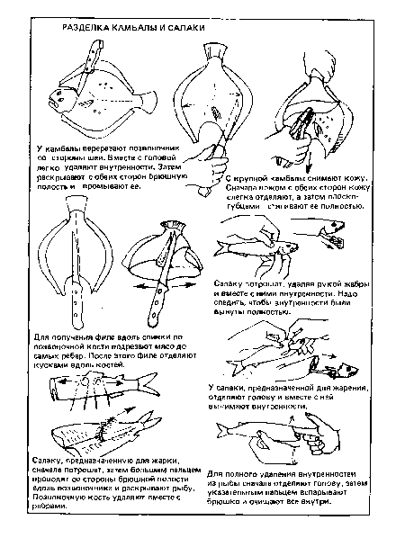 С крупной камбалы снимают кожу. Сначала ножом с обеих сторон кожу слегка отделяют, а затем плоскогубцами стягивают ее полностью.