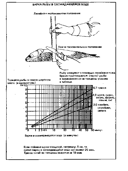 Рыбу измеряют с помощью линейки и ножа Время приготовления (варки) рыбы в зависимости от ее толщины указано в таблице.