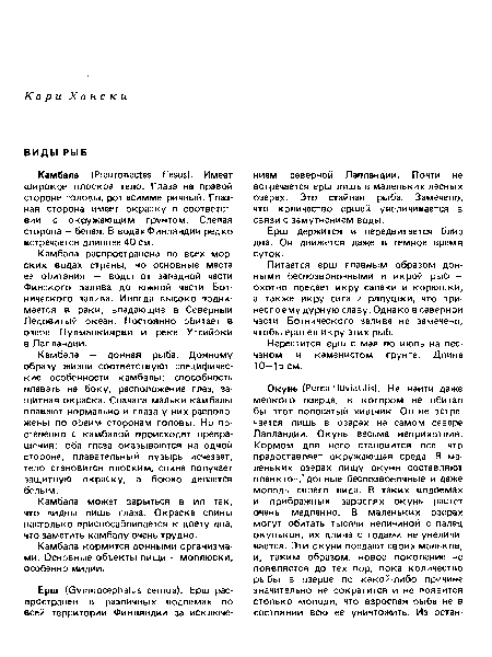 Камбала может зарыться в ил так, что видны лишь глаза. Окраска спины настолько приспосабливается к цвету дна, что заметить камбалу очень трудно.