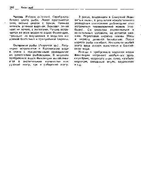 Осетровые рыбы (АЫрепсег р.) . Регулярно встречаются в Балтийском море в связи с искусственным разведением их советскими рыбоводами. В морских прибрежных водах Финляндии вылавливается в значительном количестве как русский осетр, так и сибирский осетр.