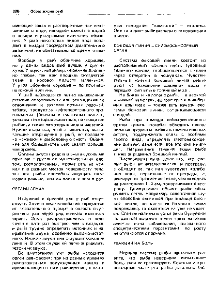 Наружное и среднее ухо у рыб отсутствует. Звук в виде колебаний передается от плавательного пузыря в область внутреннего уха через ряд мелких косточек черепа. Звук распространяется в воде почти в пять раз быстрее, чем в воздухе, и рыбе трудно определить источник и направление звука, особенно высокочастотного. Низкие звуки она ощущает боковой линией. В этом случае ей легче определить источник звука.