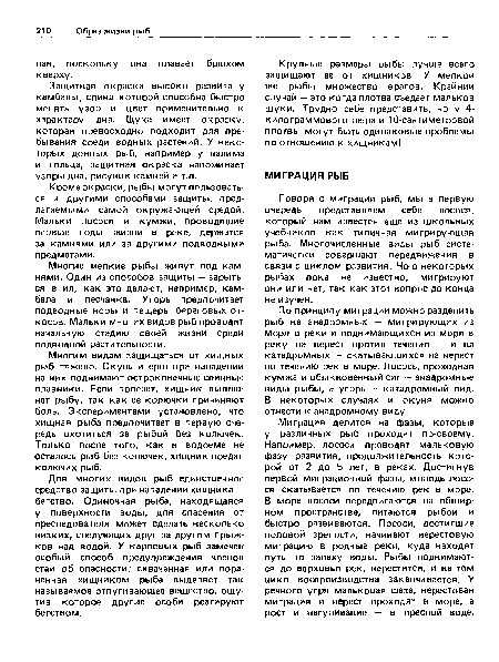 Кроме окраски, рыбы могут пользоваться и другими способами защиты, предлагаемыми самой окружающей средой. Мальки лосося и кумжи, проводящие первые годы жизни в реке, держатся за камнями или за другими подводными предметами.