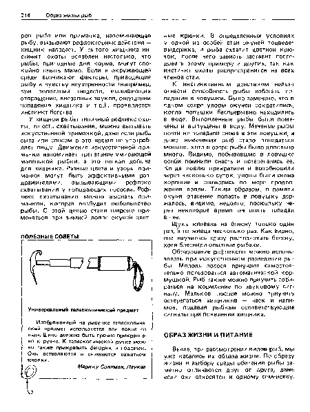 Щука клевала на блесну только один раз, а на живца несколько раз. Как видно, она научилась сразу распознавать блесну, хотя блеснили опытные рыбаки.