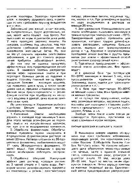 Заболевший рак вялый, ходит качаясь, на выпрямленных, будто деревянных, ногах, хвост часто поджат под брюхо. Рак выползает из норы и двигается даже днем. У него пропадает рефлекс защиты. На покрове, особенно под хвостом, под воздействием грибковой инфекции иногда появляются желтоватые пятна. Но они не могут служить верными симптомами заболевания, и для его точного определения требуется лабораторный анализ.