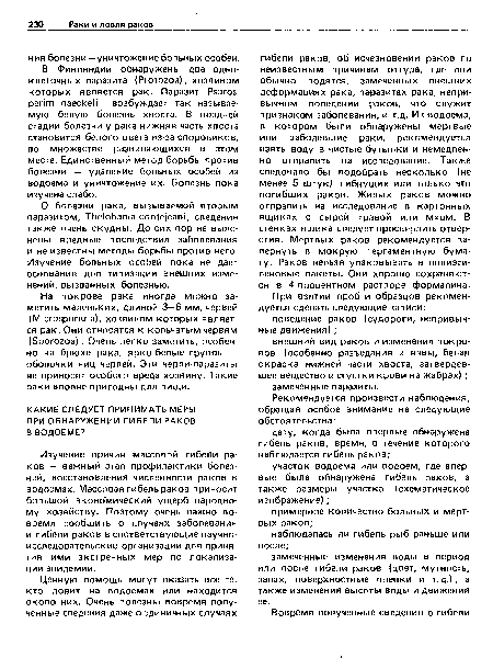 О болезни рака, вызываемой вторым паразитом, Thelohania contejeani, сведения также очень скудны. До сих пор не выяснены вредные последствия заболевания и не известны методы борьбы против него. Изучение больных особей пока не дает основания для типизации внешних изменений, вызванных болезнью.