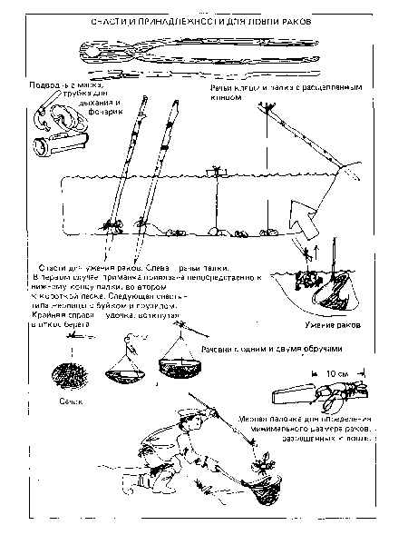 Снасти для ужения раков. Слева — рачьи палки.