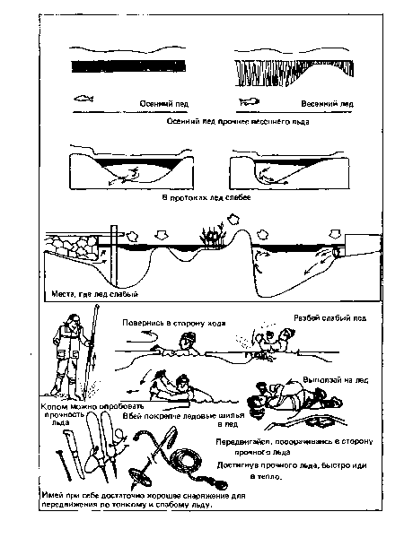 Имей при себе достаточно хорошее снаряжение для передвижения по тонкому и слабому льду.