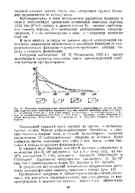 Дальность распространения микроорганизмов в среднезернистых песках на участке искусственного пополнения подземных вод при скорости движения воды 2—3 м/сут