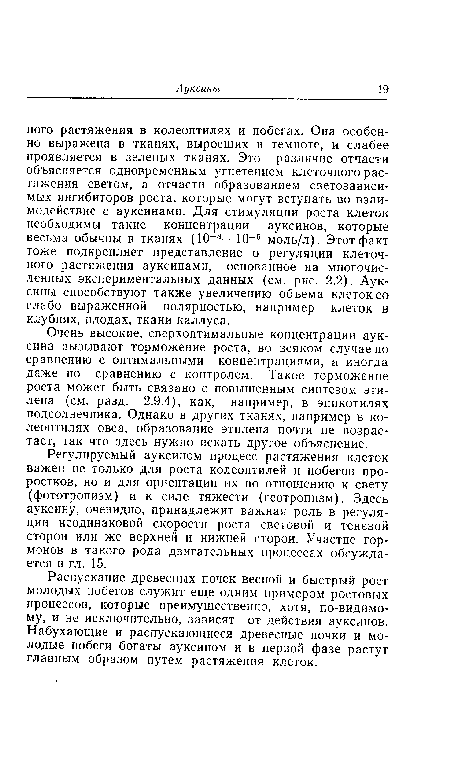 Распускание древесных почек весной и быстрый рост молодых побегов служит еще одним примером ростовых процессов, которые преимущественно, хотя, по-видимому, и не исключительно, зависят от действия ауксинов. Набухающие и распускающиеся древесные почки и молодые побеги богаты ауксином и в первой фазе растут главным образом путем растяжения клеток.