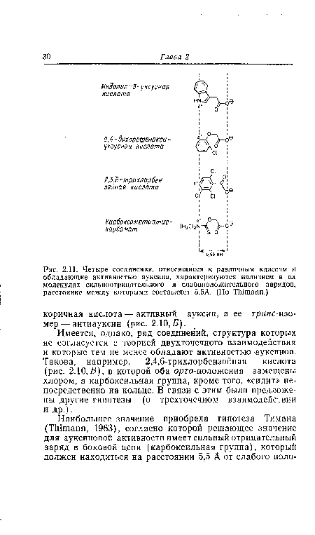 Имеется, однако, ряд соединений, структура которых не согласуется с теорией двухточечного взаимодействия и которые тем не менее обладают активностью ауксинов. Такова, например, 2,4,6-трихлорбензойная кислота (рис. 2.10,В), в которой оба орго-положения замещены хлором, а карбоксильная группа, кроме того, «сидит» непосредственно на кольце. В связи с этим были предложены другие гипотезы (о трехточечном взаимодействии и др.).