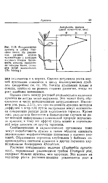 Однако связь между ростовой активностью и наличием ауксина не всегда четко выражена. Это может быть обусловлено и чисто методическими затруднениями. Напомним (см. разд. 2.5.1), что при выделении ауксина методом диффузии в агар или путем экстракции могут извлекаться совершенно разные доли эндогенного гормона. Кроме того, результаты биотестов в большинстве случаев не дают никакой информации о химической природе изучаемого ауксина; к тому же эффект здесь может в значительной мере зависеть от других гормонов.