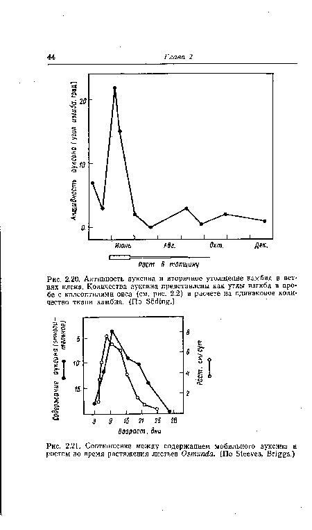 Активность ауксина и вторичное утолщение камбия в ветвях клена. Количества ауксина представлены как углы изгиба в пробе с колеоптилями овса (см. рис. 2.2) в расчете на одинаковое количество ткани камбия. (По БбШщ .)