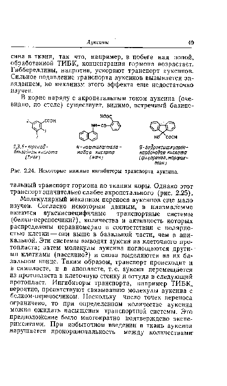 Некоторые важные ингибиторы транспорта ауксина.