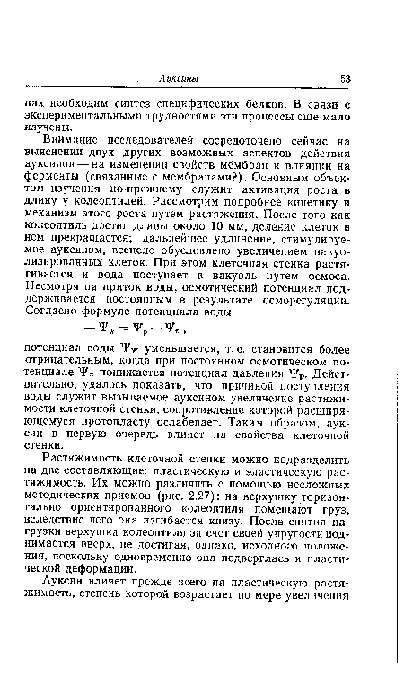 Растяжимость клеточной стенки можно подразделить на две составляющие: пластическую и эластическую растяжимость. Их можно различить с помощью несложных методических приемов (рис. 2.27): на верхушку горизонтально ориентированного колеоптиля помещают груз, вследствие чего она изгибается книзу. После снятия нагрузки верхушка колеоптиля за счет своей упругости поднимается вверх, не достигая, однако, исходного положения, поскольку одновременно она подверглась и пластической деформации.