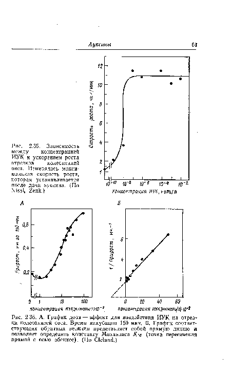 Зависимость между концентрацией ИУК и ускорением роста отрезков колеоптилей овса. Измерялась максимальная скорость роста, которая устанавливается после дачи ауксина. (По N¡551» 2епк.)