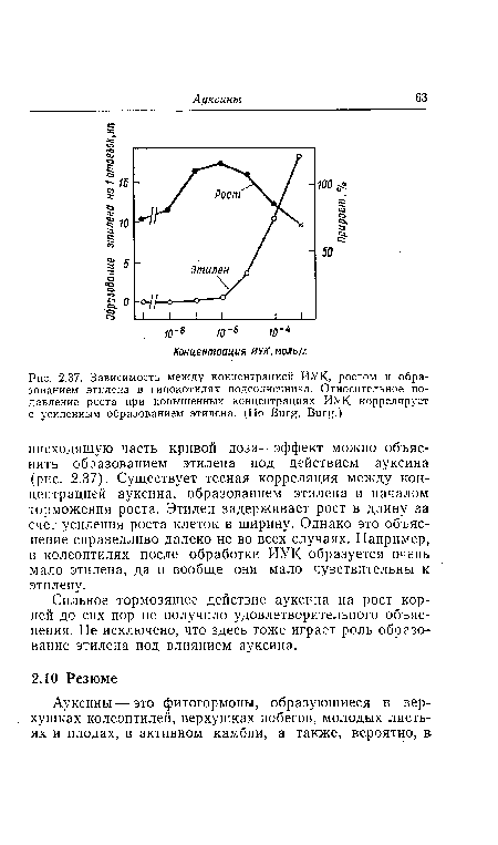 Зависимость между концентрацией ИУК, ростом и образованием этилена в гипокотилях подсолнечника. Относительное подавление роста при повышенных концентрациях ИУК коррелирует с усиленным образованием этилена. (По Burg, Burg.)