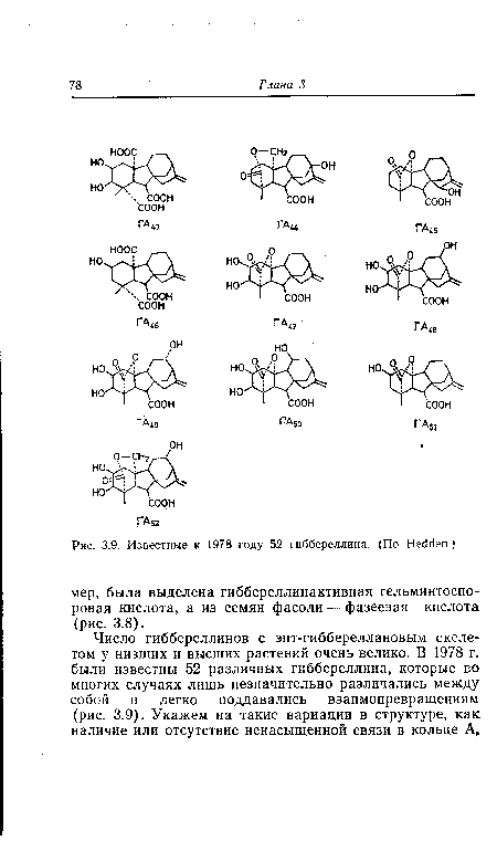 Известные к 1978 году 52 гиббереллина. (По НесЫеп.)