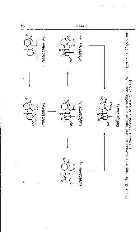 Некоторые из возможных путей превращения гиббереллина AJ2 в другие гиббереллины