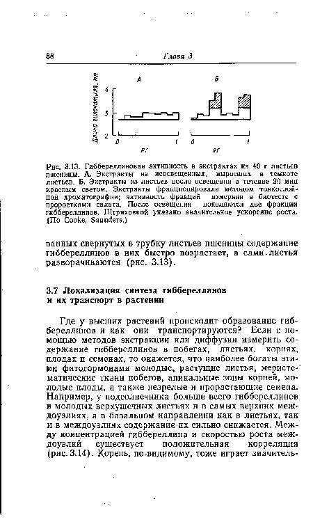 Гиббереллиновая активность в экстрактах из 40 г листьев пшеницы. А. Экстракты из неосвещенных, выросших в темноте листьев. Б. Экстракты из листьев после освещения в течение 20 мин красным светом. Экстракты фракционировали методом тонкослойной хроматографии; активность фракций измеряли в биотесте с проростками салата. После освещения появляются две фракции гиббереллинов. Штриховкой указано значительное ускорение роста. (По Cooke, Saunders.)