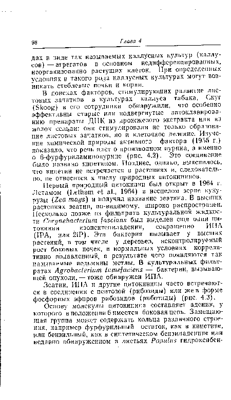 Зеатин, ИПА и другие цитокинины часто встречаются в соединении с пентозой (рибозиды) или же в форме фосфорных эфиров рибозидов (риботиды) (рис. 4.3).