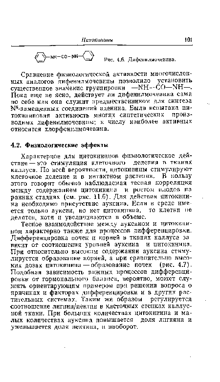 Сравнение физиологической активности многочисленных аналогов дифенилмочевины позволило установить существенное значение группировки —ЫН—СО—ЫН—. Пока еще не ясно, действует ли дифенилмочевина сама по себе или она служит предшественником для синтеза №-замещенных соединений аденина. Была испытана ци-токининовая активность многих синтетических производных дифенилмочевины; к числу наиболее активных относится хлорфенилмочевина.