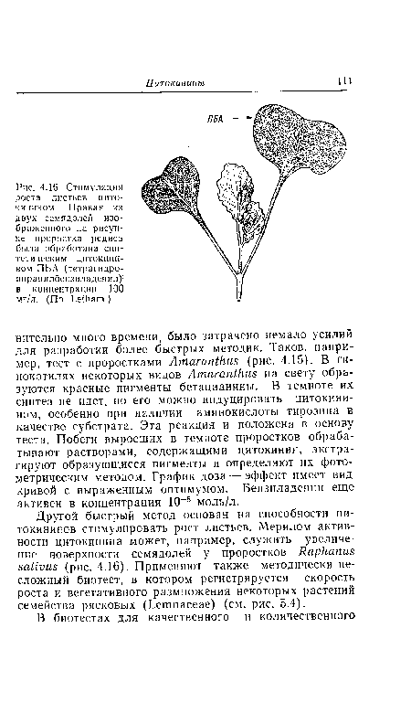 Другой быстрый метод основан на способности ци-токининов стимулировать рост листьев. Мерилом активности цитокинина может, например, служить увеличение поверхности семядолей у проростков ЯарНапиз заНьиз (рис. 4.16). Применяют также методически несложный биотест, в котором регистрируется скорость роста и вегетативного размножения некоторых растений семейства рясковых (Ьешпасеае) (см. рис. 5.4).