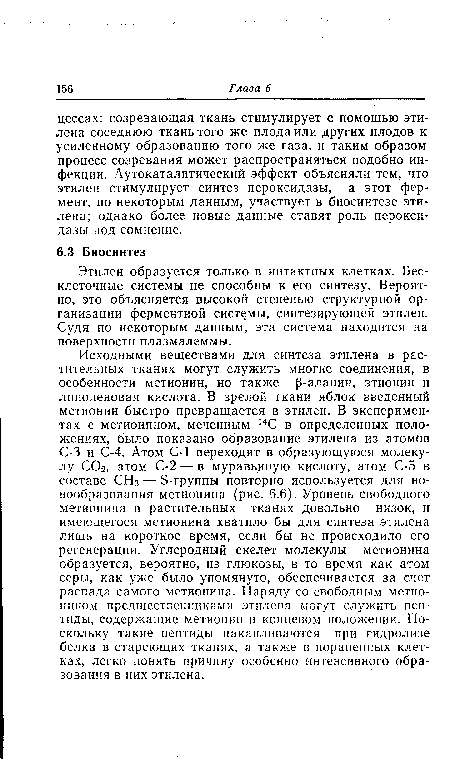 Этилен образуется только в интактных клетках. Бес-клеточные системы не способны к его синтезу. Вероятно, это объясняется высокой степенью структурной организации ферментной системы, синтезирующей этилен. Судя по некоторым данным, эта система находится на поверхности плазмалеммы.