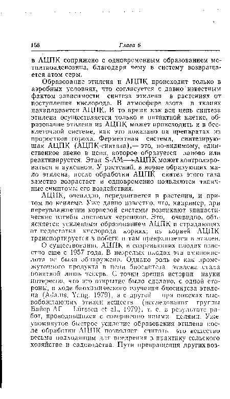 АЦПК, очевидно, передвигается в растении, и притом по ксилеме. Уже давно известно, что, например, при переувлажнении корневой системы возникают эпинасти-ческие изгибы листовых черешков. Это, очевидно, объясняется усиленным образованием АЦПК в страдающих от недостатка кислорода корнях; из корней АЦПК транспортируется в побеги и там превращается в этилен.