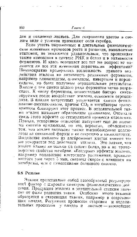 Если учесть выраженные и длительные физиологические изменения процессов роста и развития, вызываемые этиленом, не покажется удивительным, что происходят также изменения в синтезе РНК и белка и в активности ферментов. И здесь возникает все тот же вопрос: не являются ли все эти изменения первичными эффектами? Неоднократно проверялась возможность прямого воздействия этилена на активность различных ферментов, например глюкозидазы, а-амилазы, инвертазы и перок-сидазы, но были получены отрицательные результаты-Вместе с тем синтез целого ряда ферментов четко возрастает. К числу ферментов, относительно быстро синтезируемых после воздействия этилена, относится перокси-даза. В плодах цитрусовых усиливается синтез фенил-аланин-аммиак-лиазы, причем С02 и ингибиторы транскрипции блокируют этот процесс. В отделительной ткани этилен вызывает образование целлюлазы. Очевидна связь этого эффекта со стимуляцией процесса отделения. Правда, ускоренное отделение наступает еще до подъема синтеза целлюлазы, но это, вероятно, объясняется тем, что этилен вызывает также высвобождение целлюлазы из связанной формы и ее секрецию в межклетники. Выделение амилазы из алейроновых клеток ячменя тоже ускоряется под действием этилена. Это значит, что этилен влияет не только на синтез белка, но и на транспортные свойстза мембран. «Быстрые» эффекты этилена, например подавление клеточного растяжения, проявляющееся уже через 5 мин, связаны скорее с влиянием на мембраны, чем с изменениями белкового синтеза.