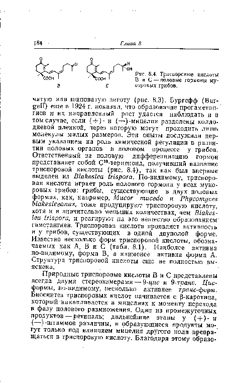 Триспоровые кислоты В и С — половые гормоны му-коровых грибов.