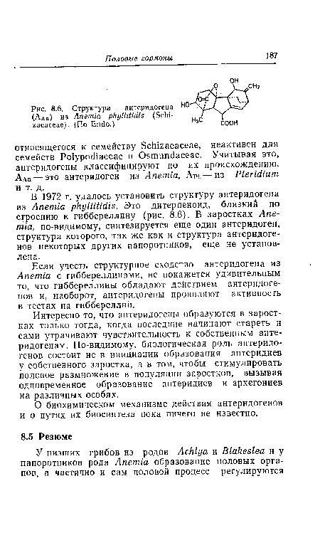 Интересно то, что антеридогены образуются в заростках только тогда, когда последние начинают стареть и сами утрачивают чувствительность к собственным анте-ридогенам. По-видимому, биологическая роль антеридо-генов состоит не в инициации образования антеридиев у собственного заростка, а в том, чтобы стимулировать половое размножение в популяции заростков, вызывая одновременное образование антеридиев и архегониев на различных особях.