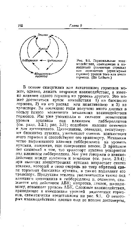 Гормональные взаимодействия, приводящие к повышению (сплошные стрелки) или понижению (пунктирные стрелки) уровня того или иного гормона. (По ЬеШаш.)