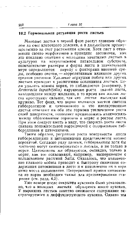 Молодые листья в первой фазе растут главным образом за счет клеточного деления, а в дальнейшем преимущественно за счет растяжения клеток. Хотя лист в отношении своего морфогенеза в принципе автономен, как это показано опытами с молодыми зачатками листьев в культурах на искусственном питательном субстрате, окончательные размеры и форма листа в значительной мере определяются — наряду с факторами внешней среды, особенно светом, — коррелятивным влиянием других органов растения. Удаление верхушки побега или других листьев приводит к увеличению оставшихся листьев. Если удалить кончик корня, то наблюдается (например, у Armor acia lapathifolia) нарушение роста тканей листа, находящихся между жилками, в то время как жилки листа проступают сильнее, так что листья выглядят как кружево. Тот факт, что корни являются местом синтеза гиббереллинов и цитокининов и что изолированные листья отвечают на оба эти гормона увеличением роста своей поверхности, позволяет предположить взаимосвязь между образованием гормонов в корне и ростом листа. При этом следует иметь в виду, что скорость роста листа связана положительной корреляцией с содержанием гиббереллинов и цитокининов.