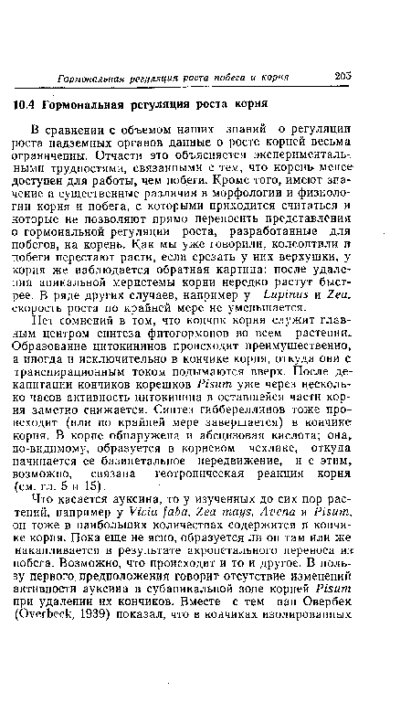 Нет сомнений в том, что кончик корня служит главным центром синтеза фитогормонов во всем растении. Образование цитокининов происходит преимущественно, а иногда и исключительно в кончике корня, откуда они с транспирационным током подымаются вверх. После де-капитации кончиков корешков Pisum уже через несколько часов активность цитокинина в оставшейся части корня заметно снижается. Синтез гиббереллинов тоже происходит (или по крайней мере завершается) в кончике корня. В корне обнаружена и абсцизовая кислота; она, по-видимому, образуется в корневом чехлике, откуда начинается ее базипетальное передвижение, и с этим, возможно, связана геотропическая реакция корня (см. гл. 5 и 15).